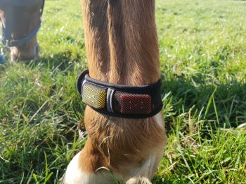 FLY-OFF fly repellent for horses